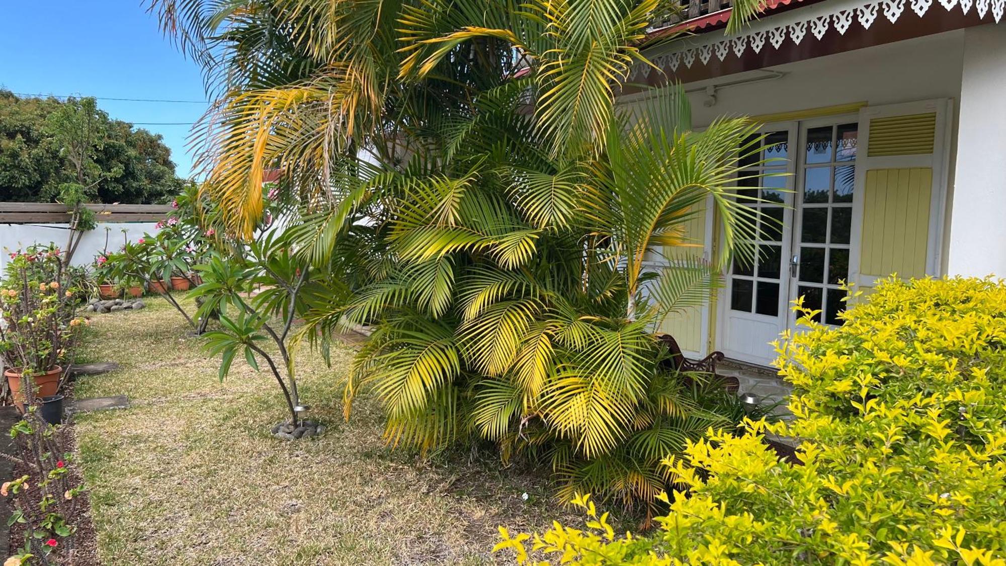 Chez Gilou Apartment Riviere Saint-Louis Exterior photo